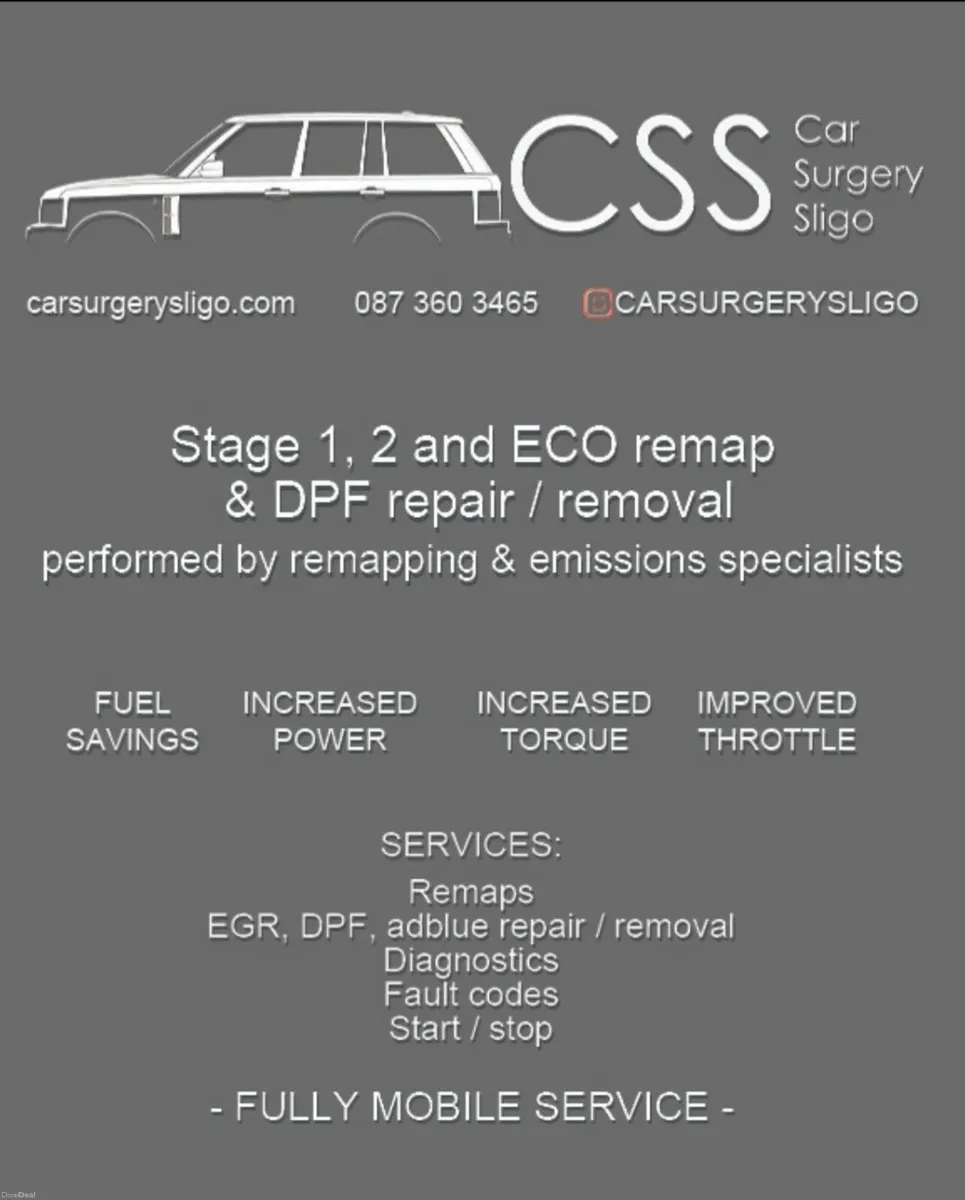 Emission repairs, ECU remapping and cloning - Image 1