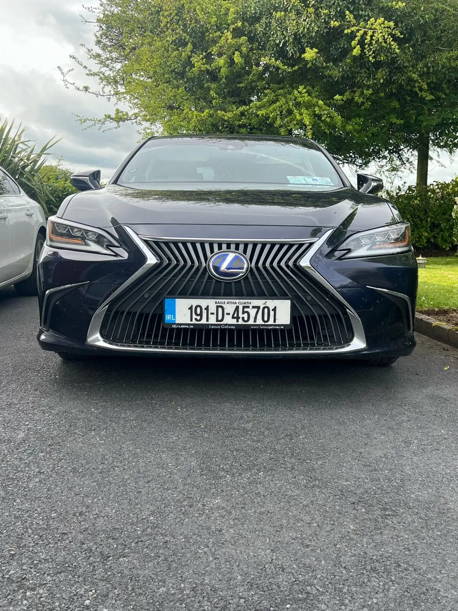 Lexus E300h Premium - Image 2