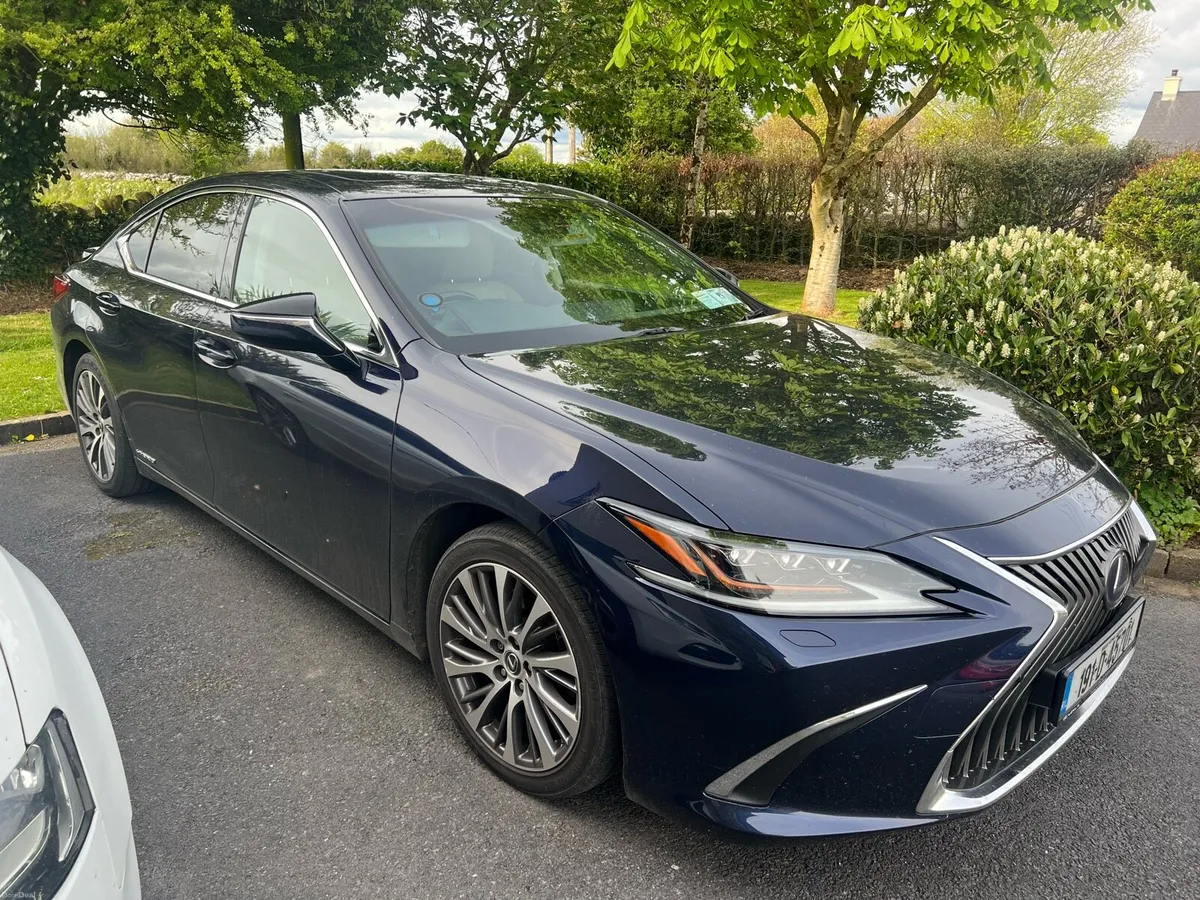 Lexus E300h Premium - Image 4