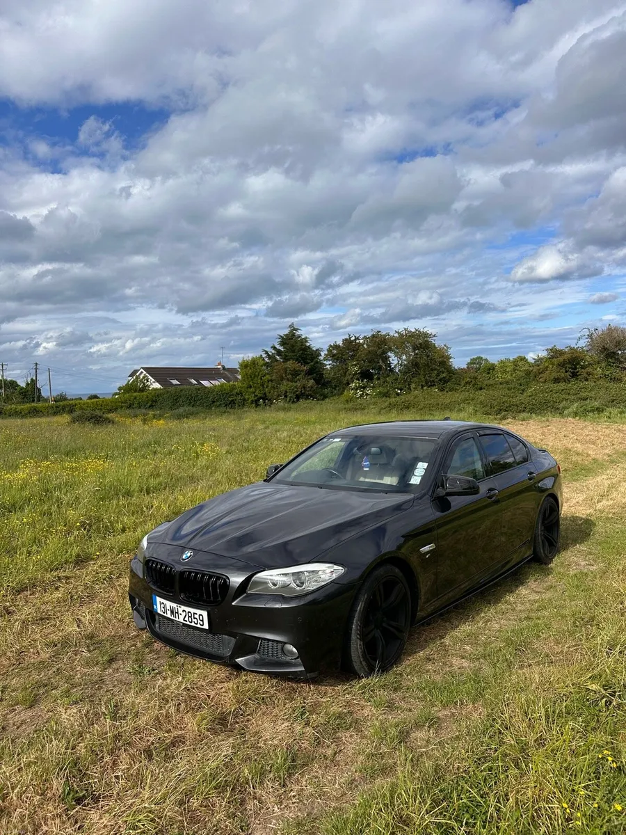 BMW 520d - Image 2