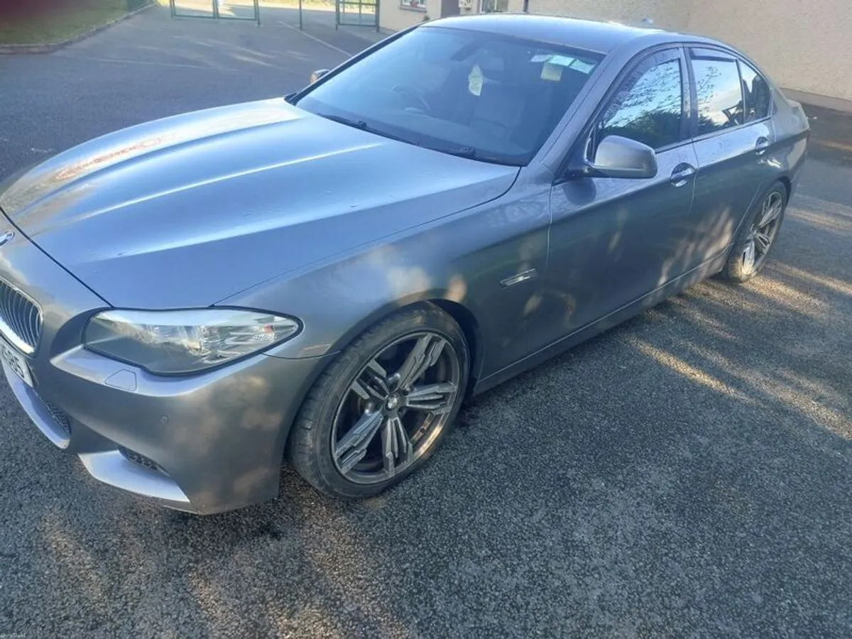 2010 Bmw 520 - Image 2