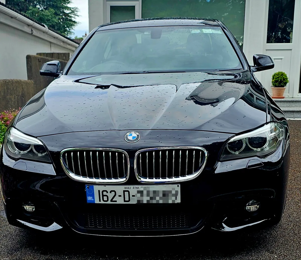 BMW 5-SERIES  M SPORT 2.0L D - Image 1