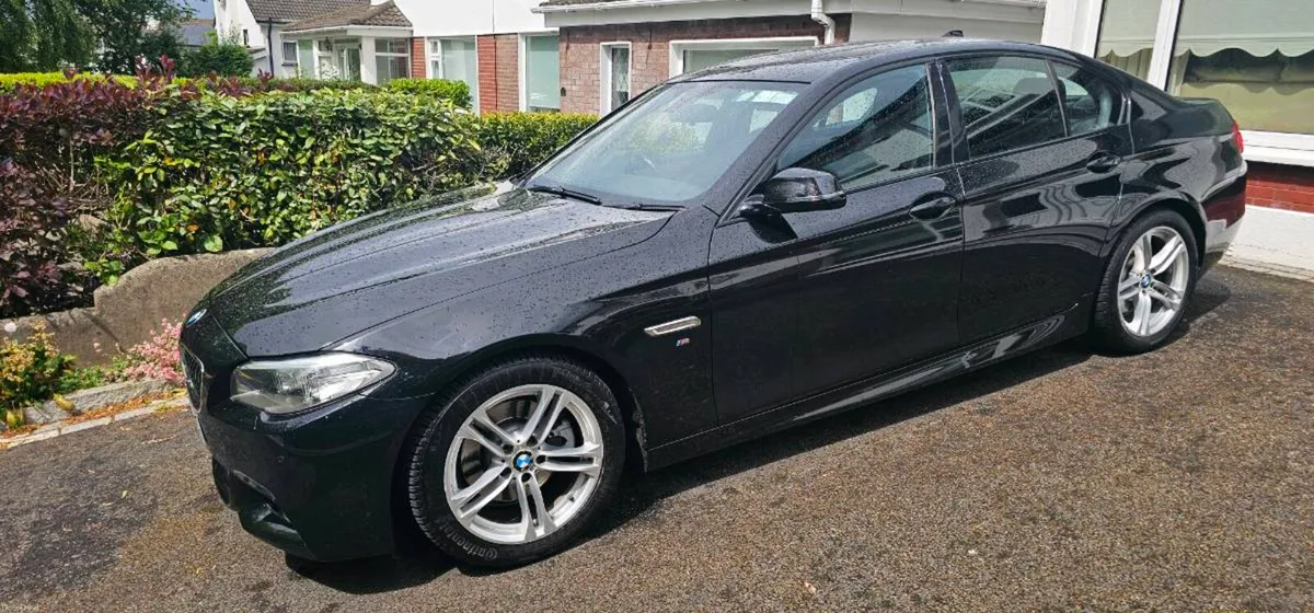 BMW 5-SERIES  M SPORT 2.0L D - Image 2