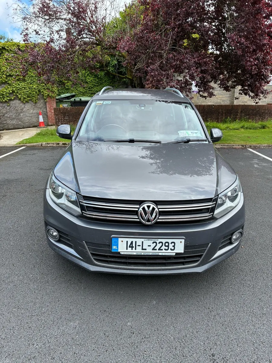 VW Tuigan - Image 1