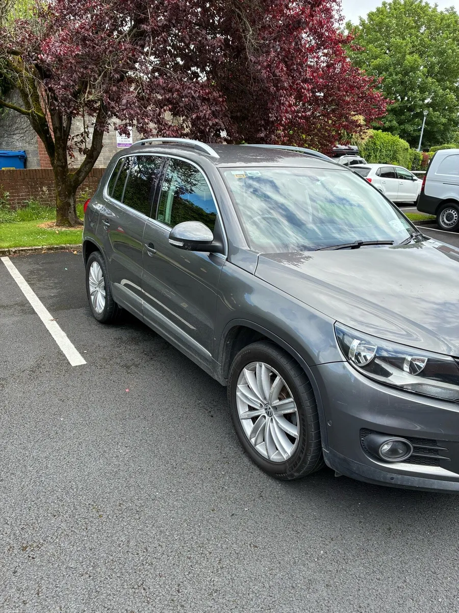 VW Tuigan - Image 2