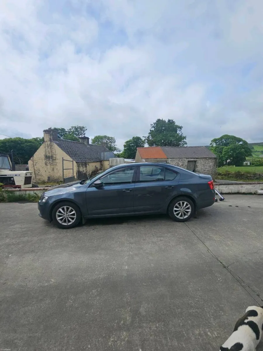 Skoda Octavia - Image 3