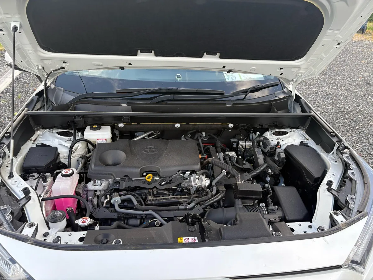 RAV4 - Image 2