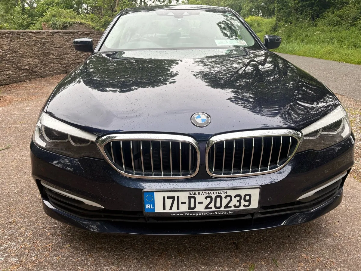 2017 BMW 520 DIESEL LOW KMS - Image 3
