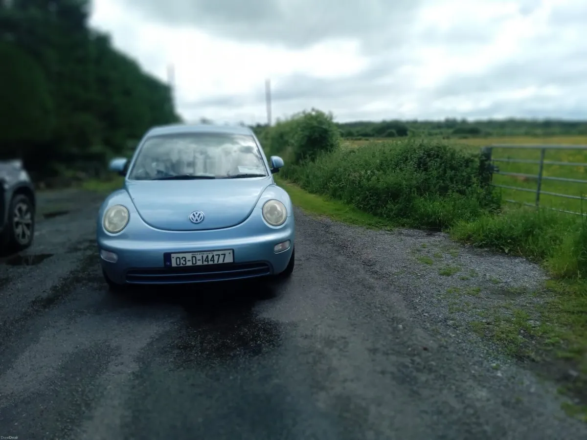 VW Beetle - Image 1
