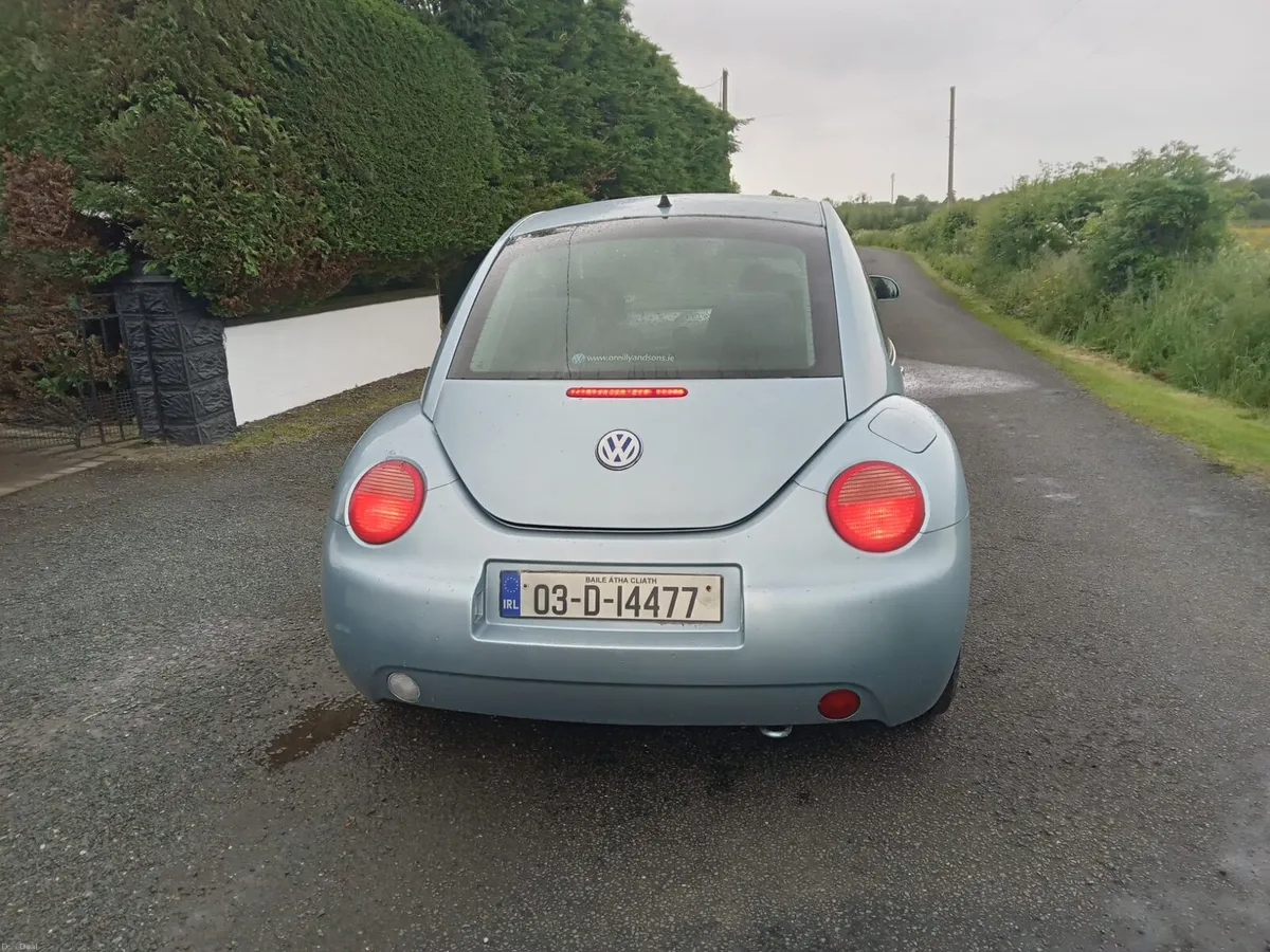 VW Beetle - Image 2