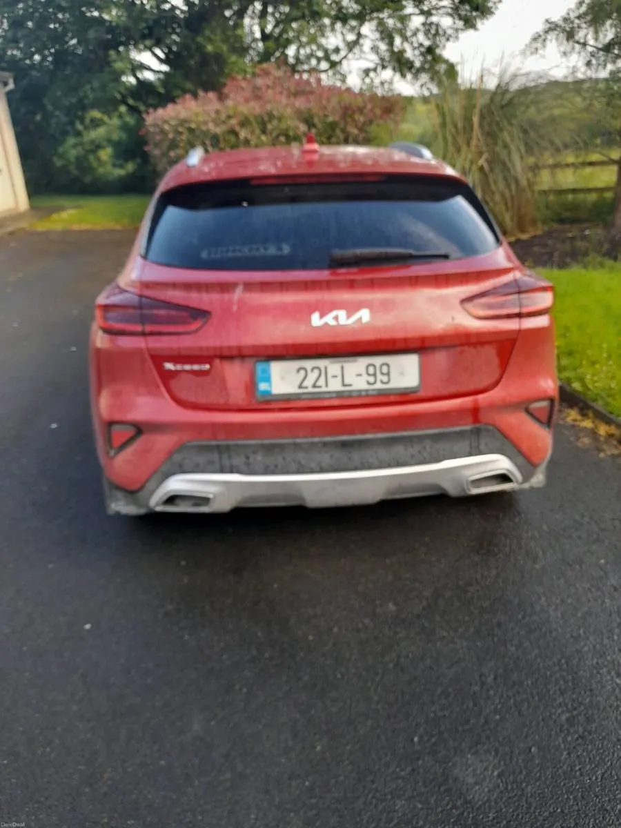 Kia Xceed hybrid - Image 2