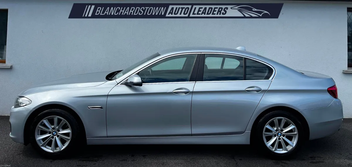 (162) BMW 520D SE AUTO 188 BHP LEATHER - Image 2