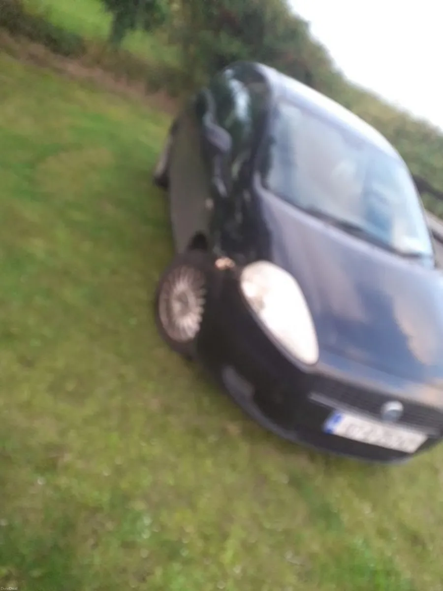 2007 Fiat Punto - Image 1