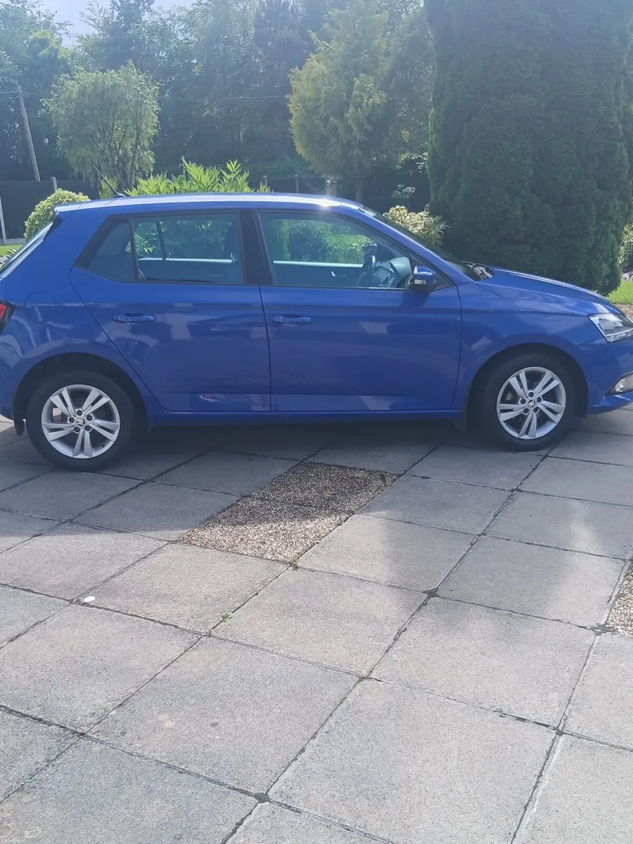 1L Skoda Fabia - Image 2