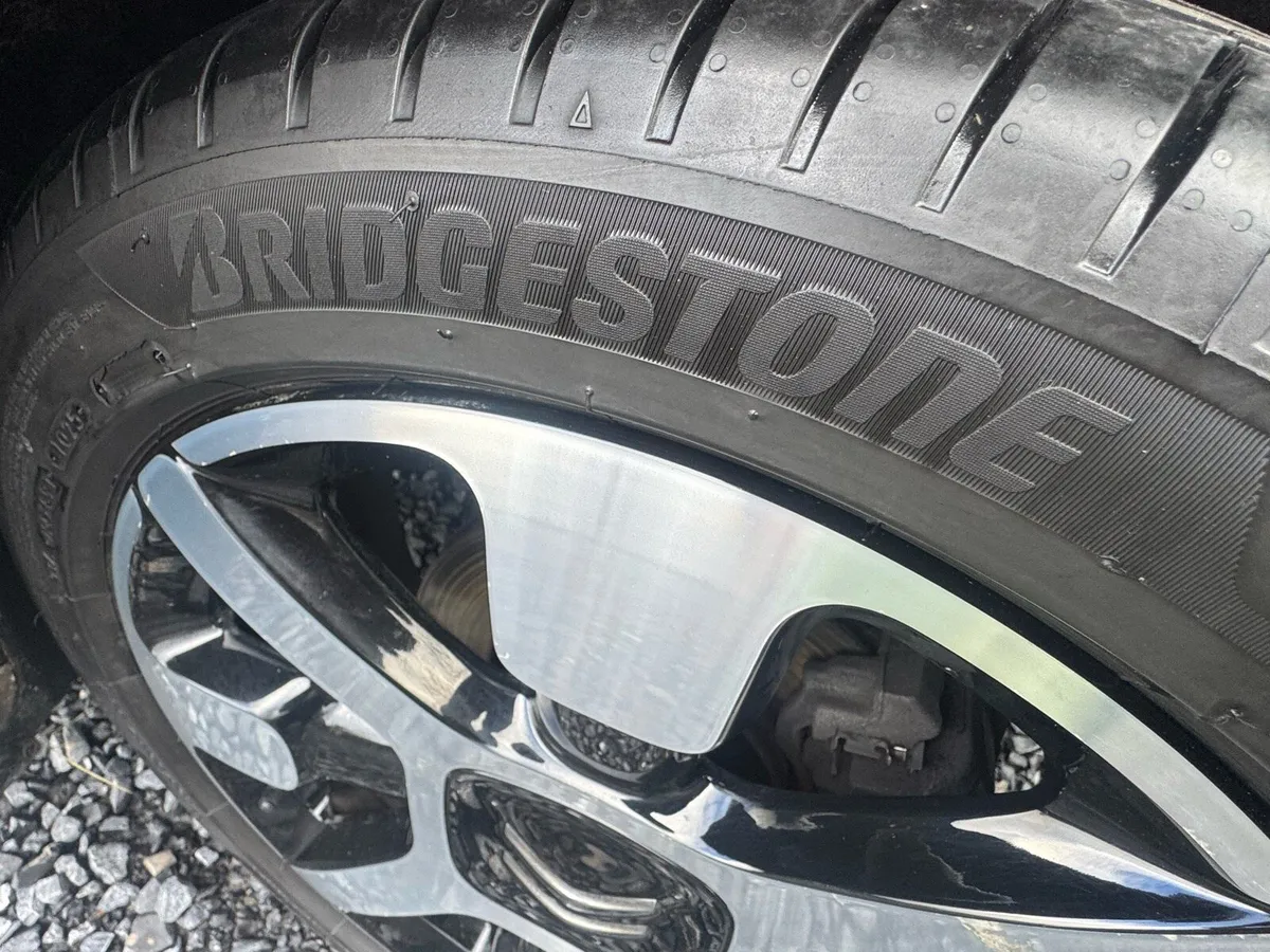 181 Citrone C4 Cactus - Image 3