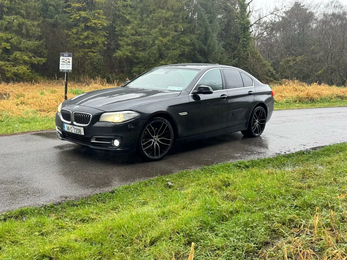 BMW 520 diesel - Image 2