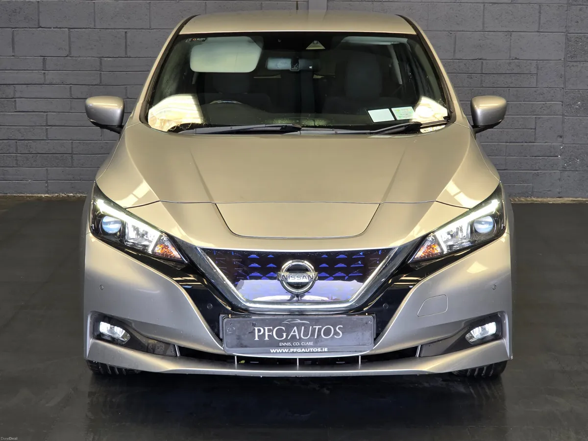 19 Leaf new 2 yr nct - Image 2