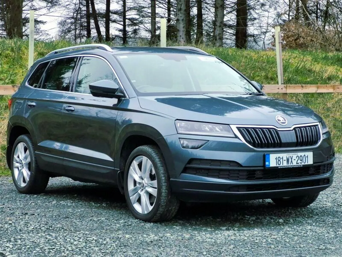 2018 Skoda Karoq Style Full Leather - Image 1