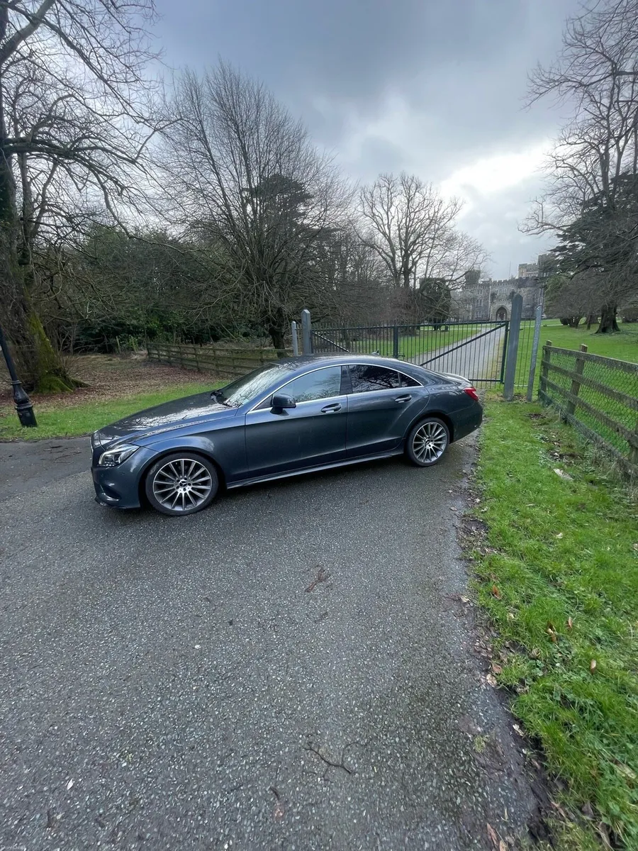 Mercedes CLS220 - Image 2