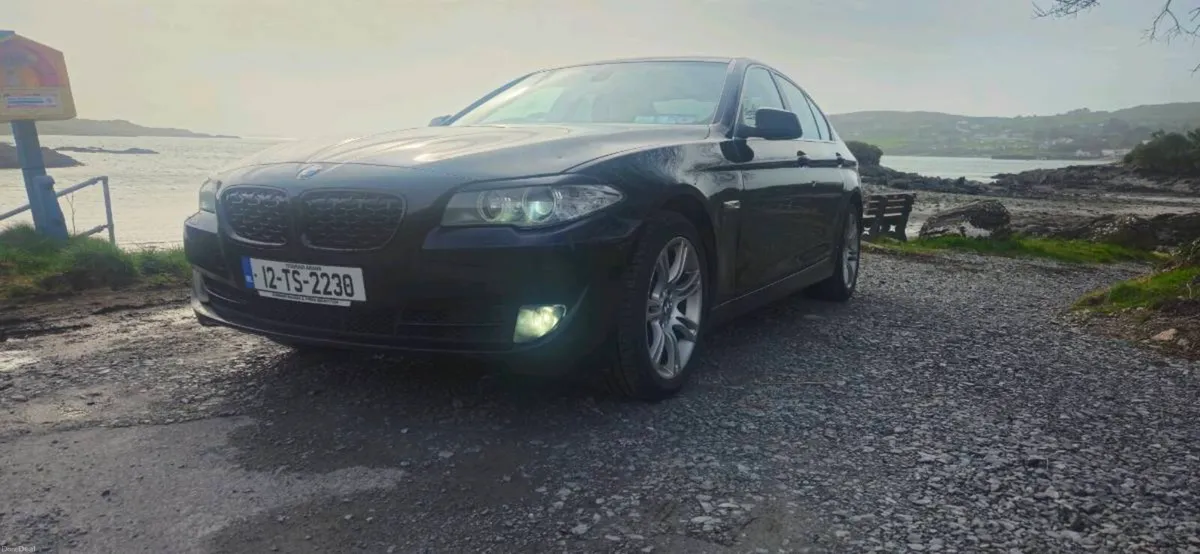 Bmw f10 520d - Image 1