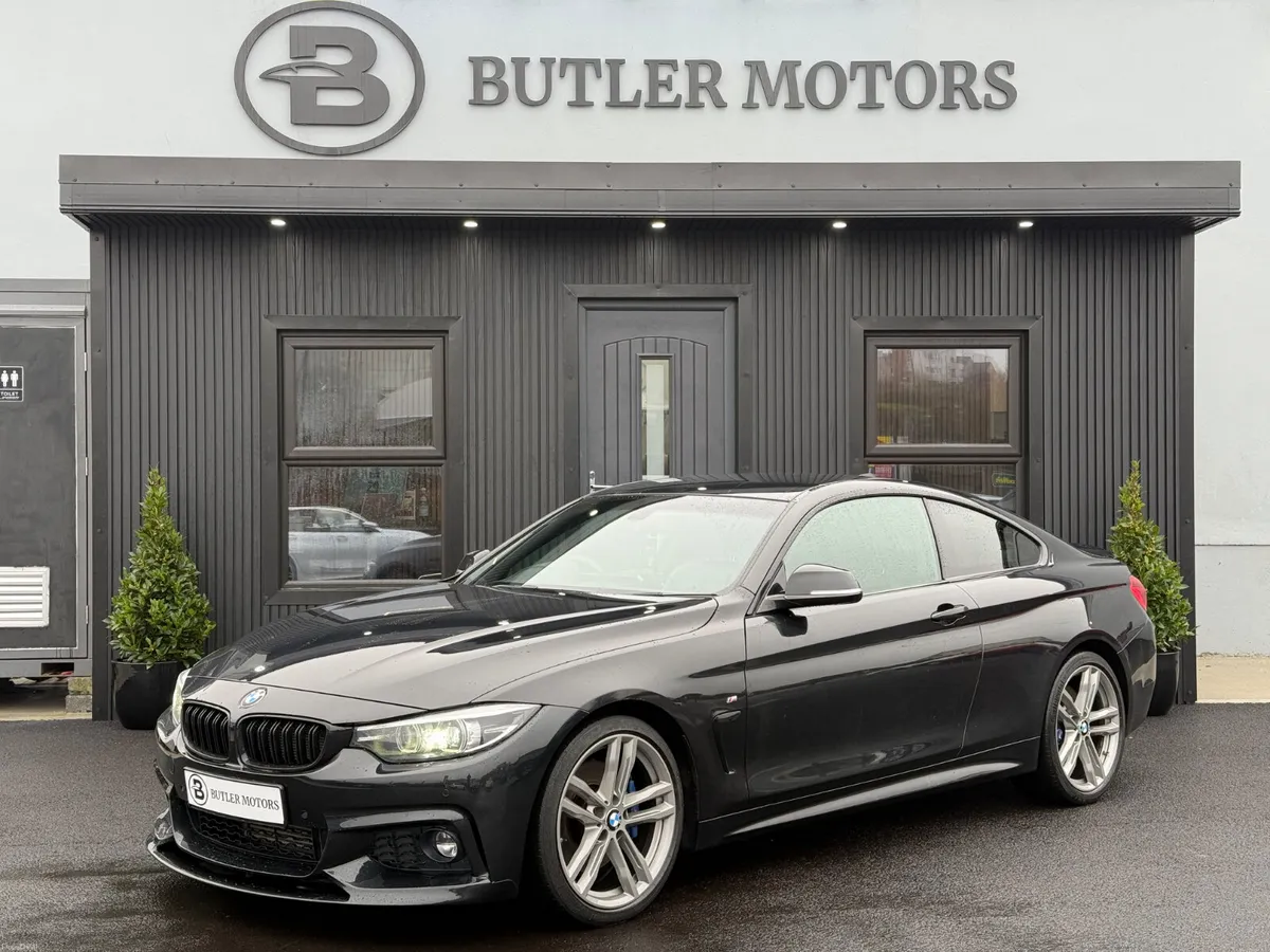 2017 BMW 420D M Sport Auto 2dr - Image 1