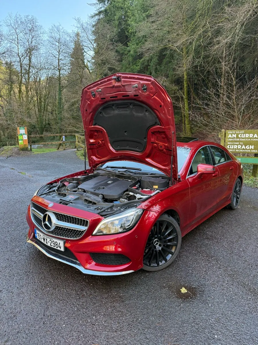 Mercedes Benz -CLS - Image 2