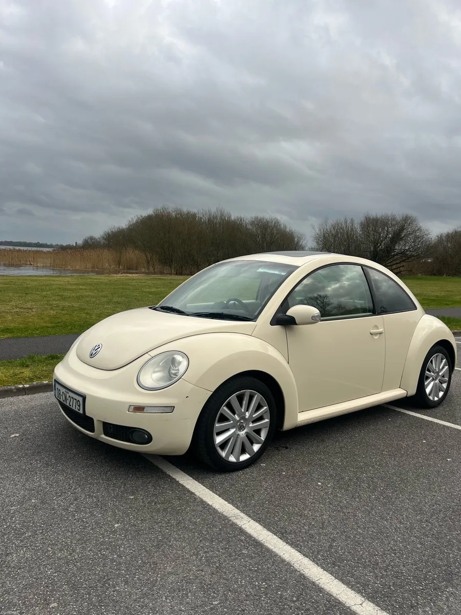 Volkswagen Beetle - Image 1