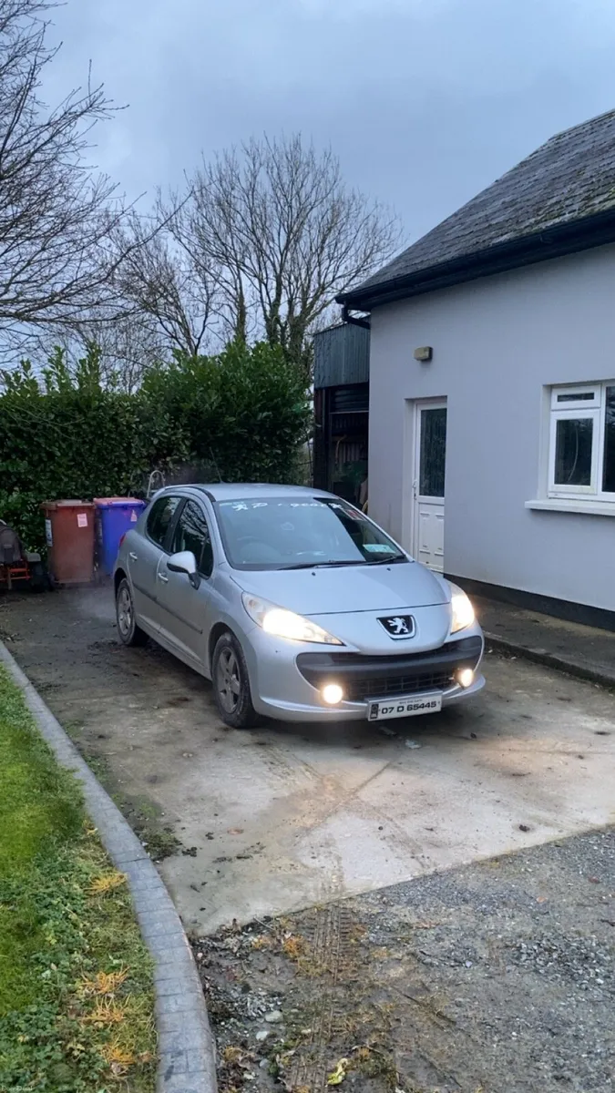 Peugeot 207 SX - Image 2