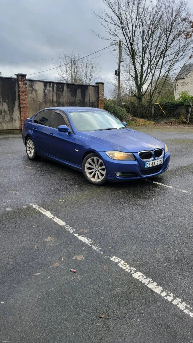 Bmw 318d 2009 - Image 2