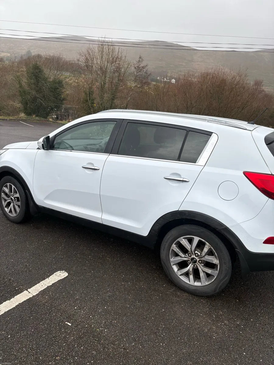 Kia shortage - Image 4