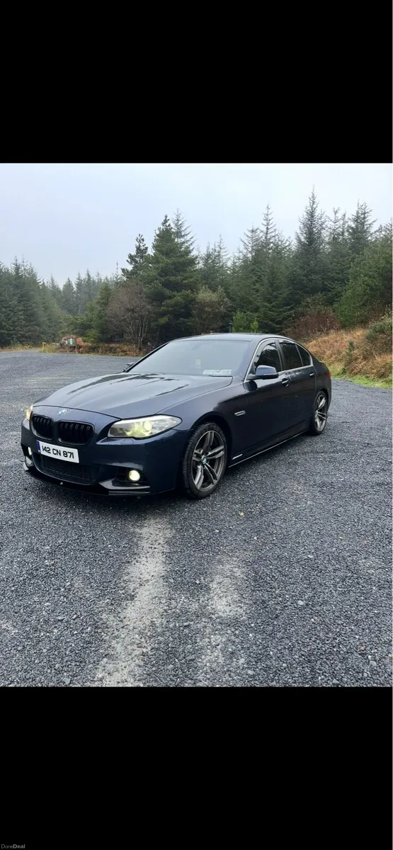 2014 bmw 520d f10 - Image 1
