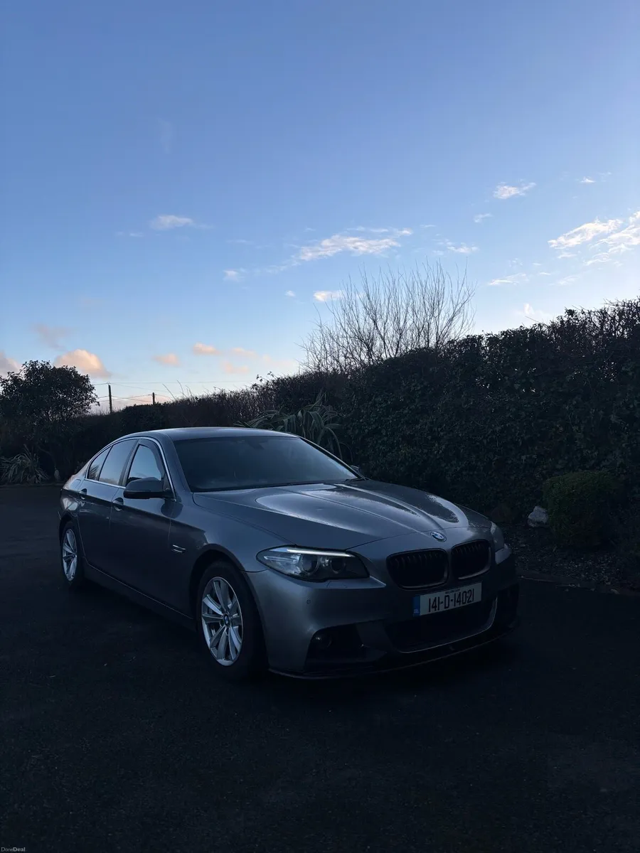 Bmw 520d - Image 3