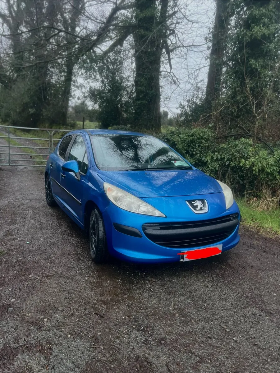 Peugeot 207 - Image 1