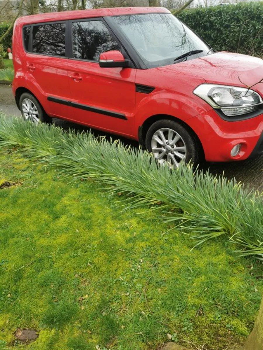2013 Kia Soul - Image 2
