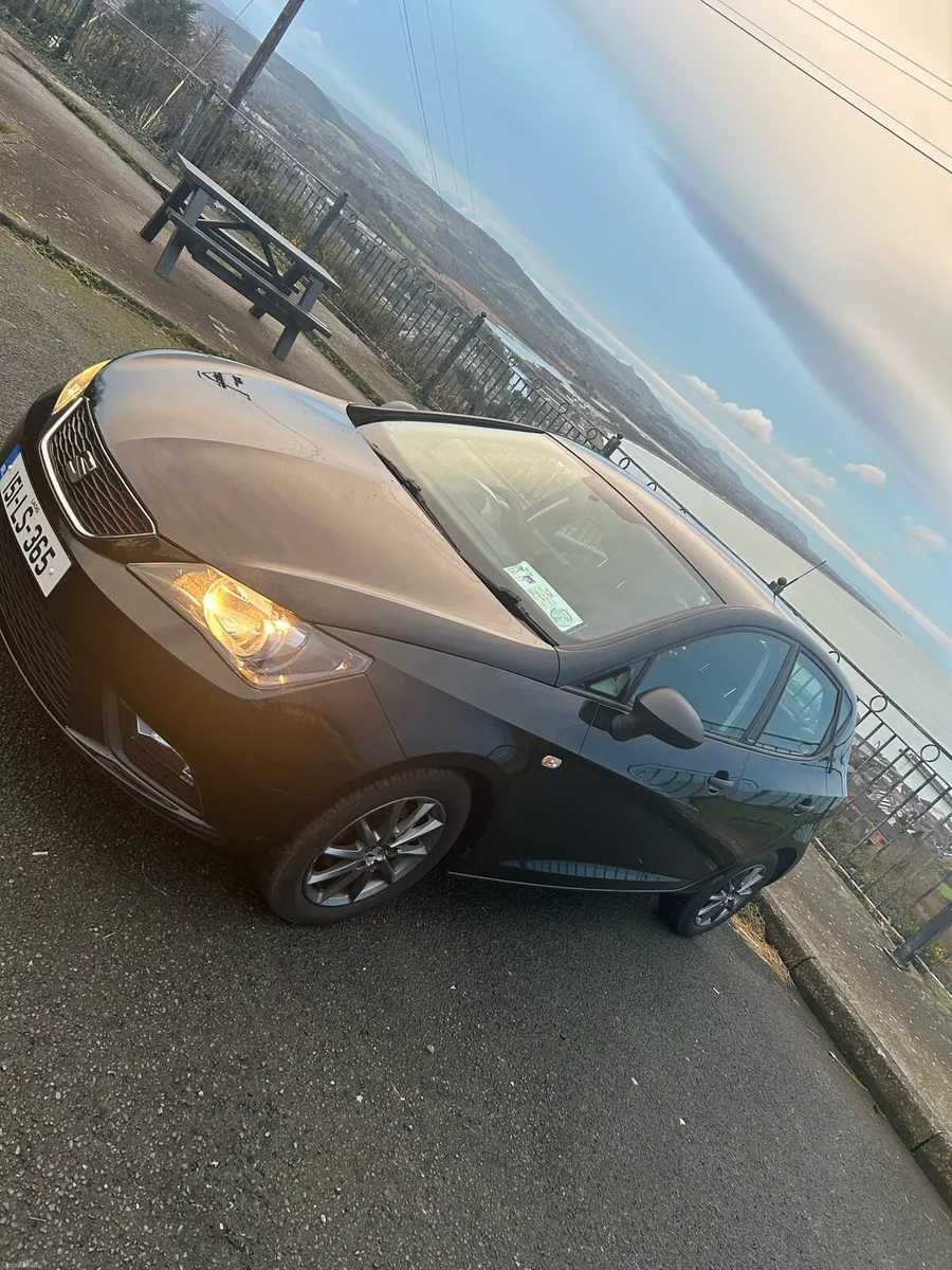 Seat Ibiza 1.2L Diesel - Image 2