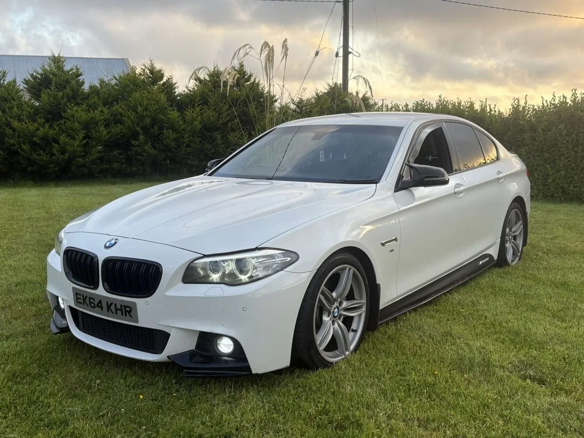 BMW 520d - Image 1