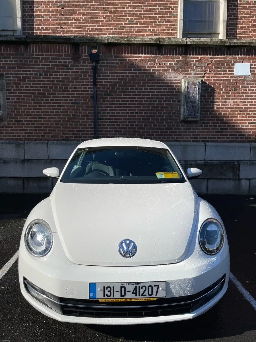 Beetle - Image 1