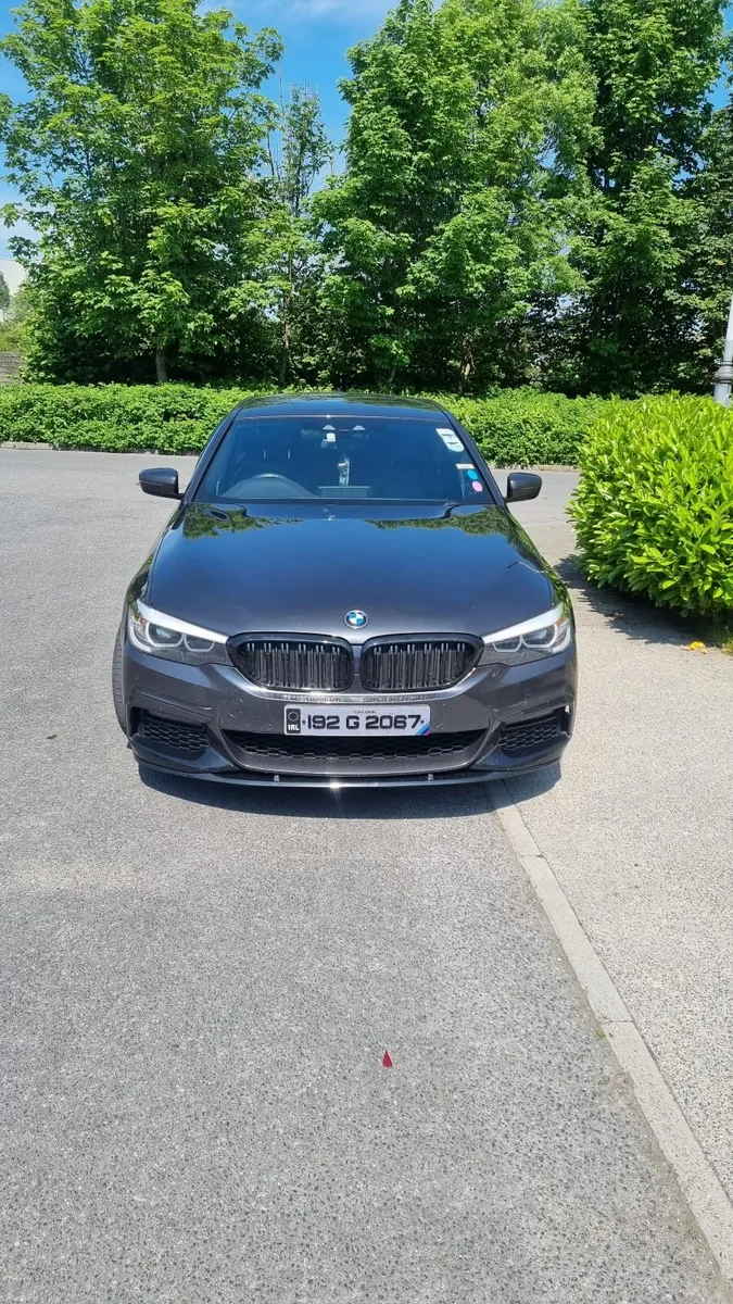 BMW 530d 350bhp 2019 - Image 4
