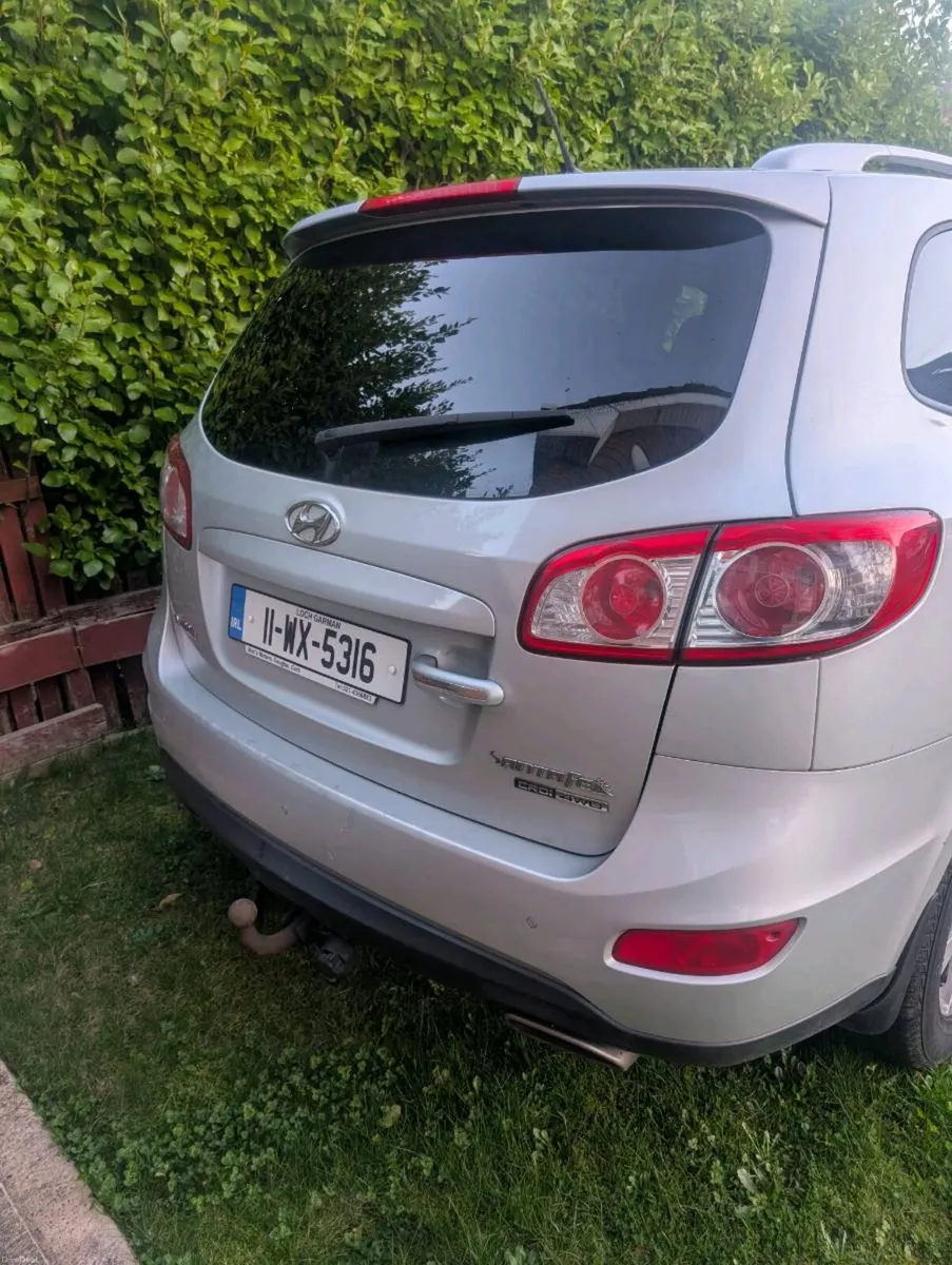 Shane Connolly - Image 3