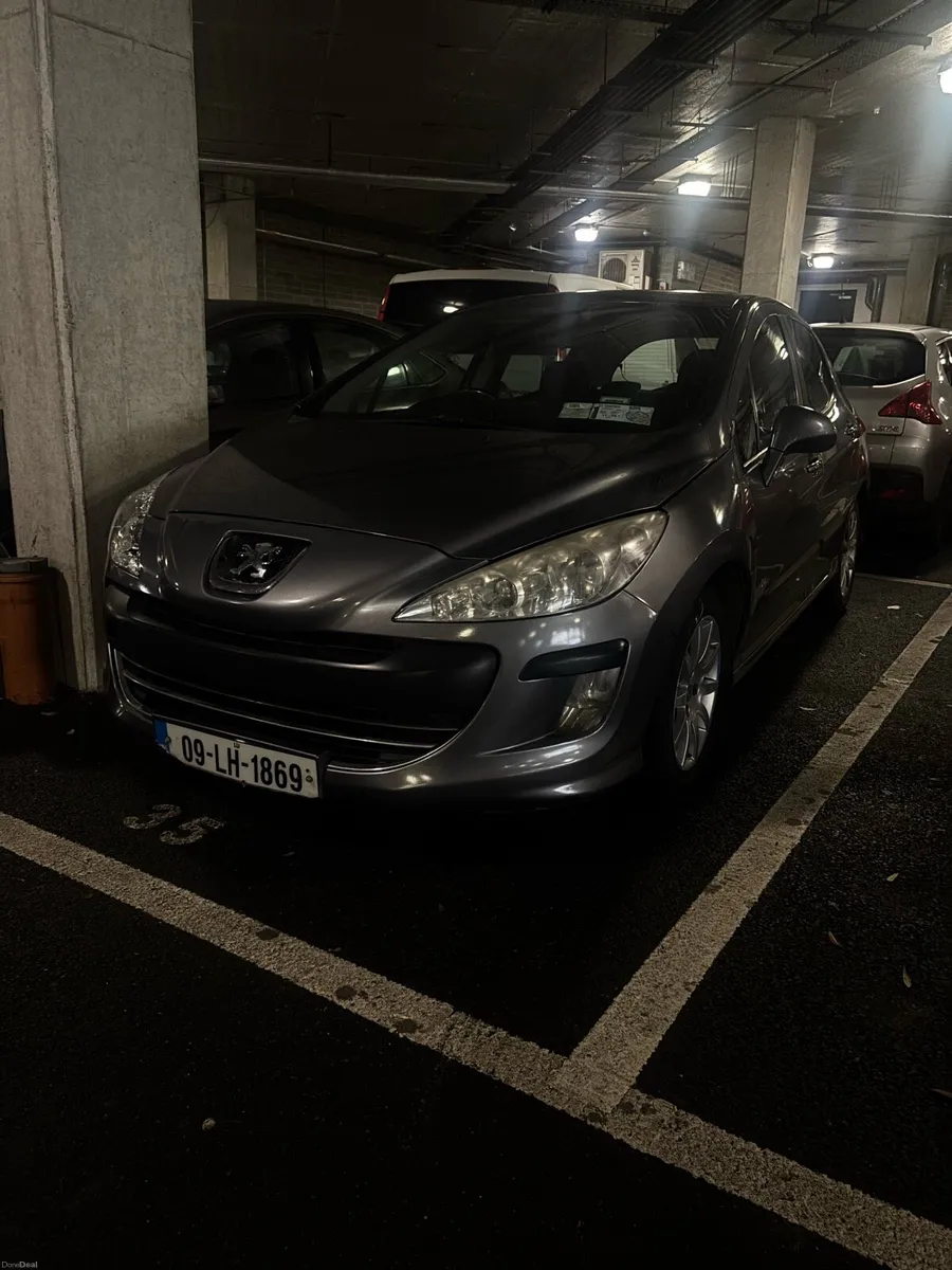 pegeout 308 - Image 1