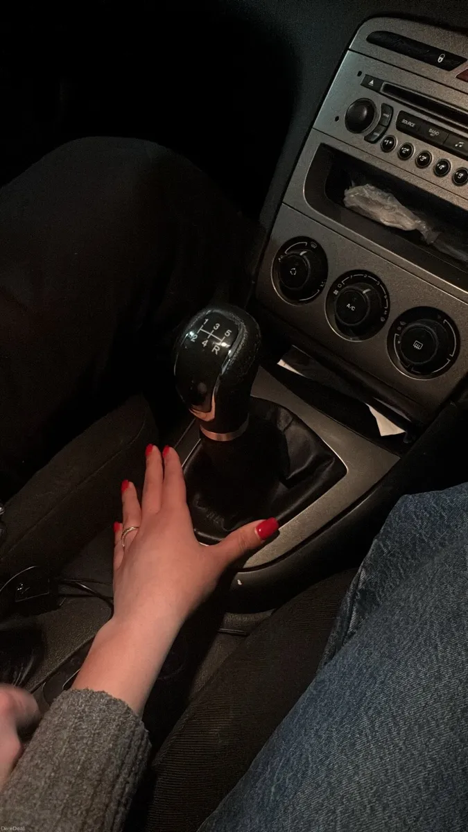 pegeout 308 - Image 2