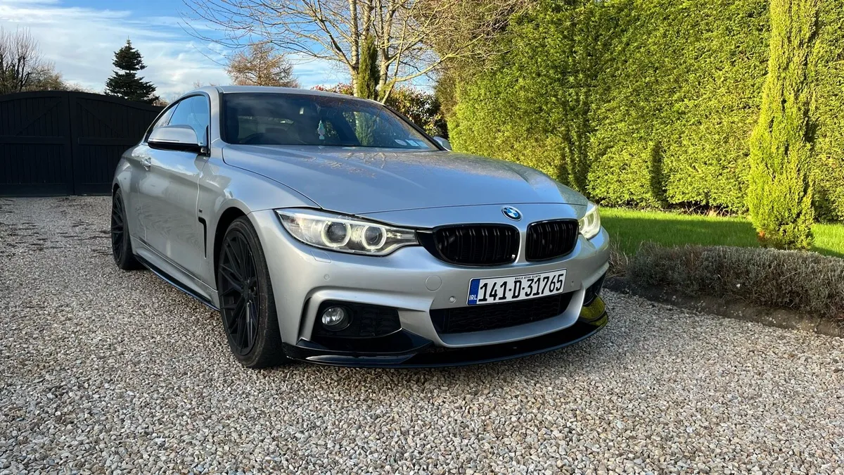 BMW 420d New timing chain - Image 1