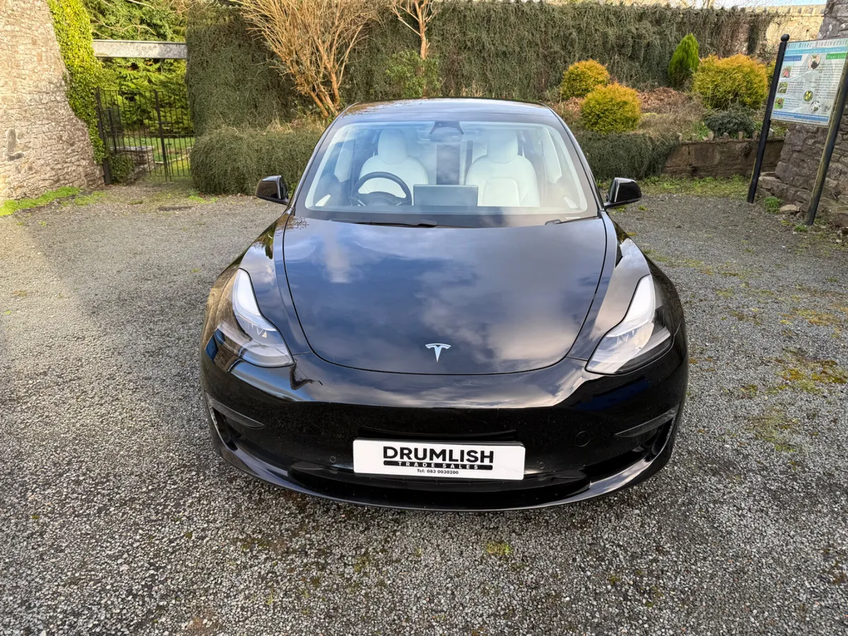 2022 Tesla Model 3 Long Range AWD €22750 - Image 2