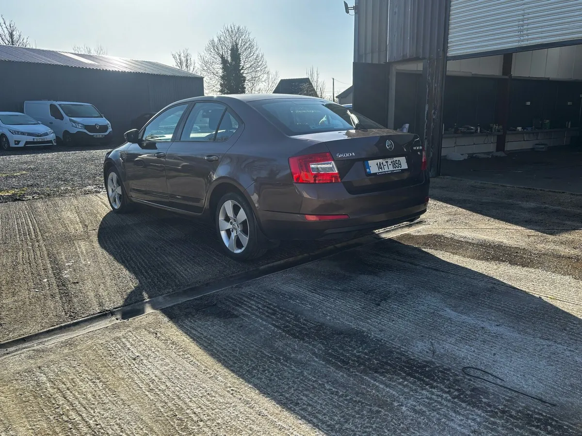 141 Skoka Octavia Elegance - Image 4