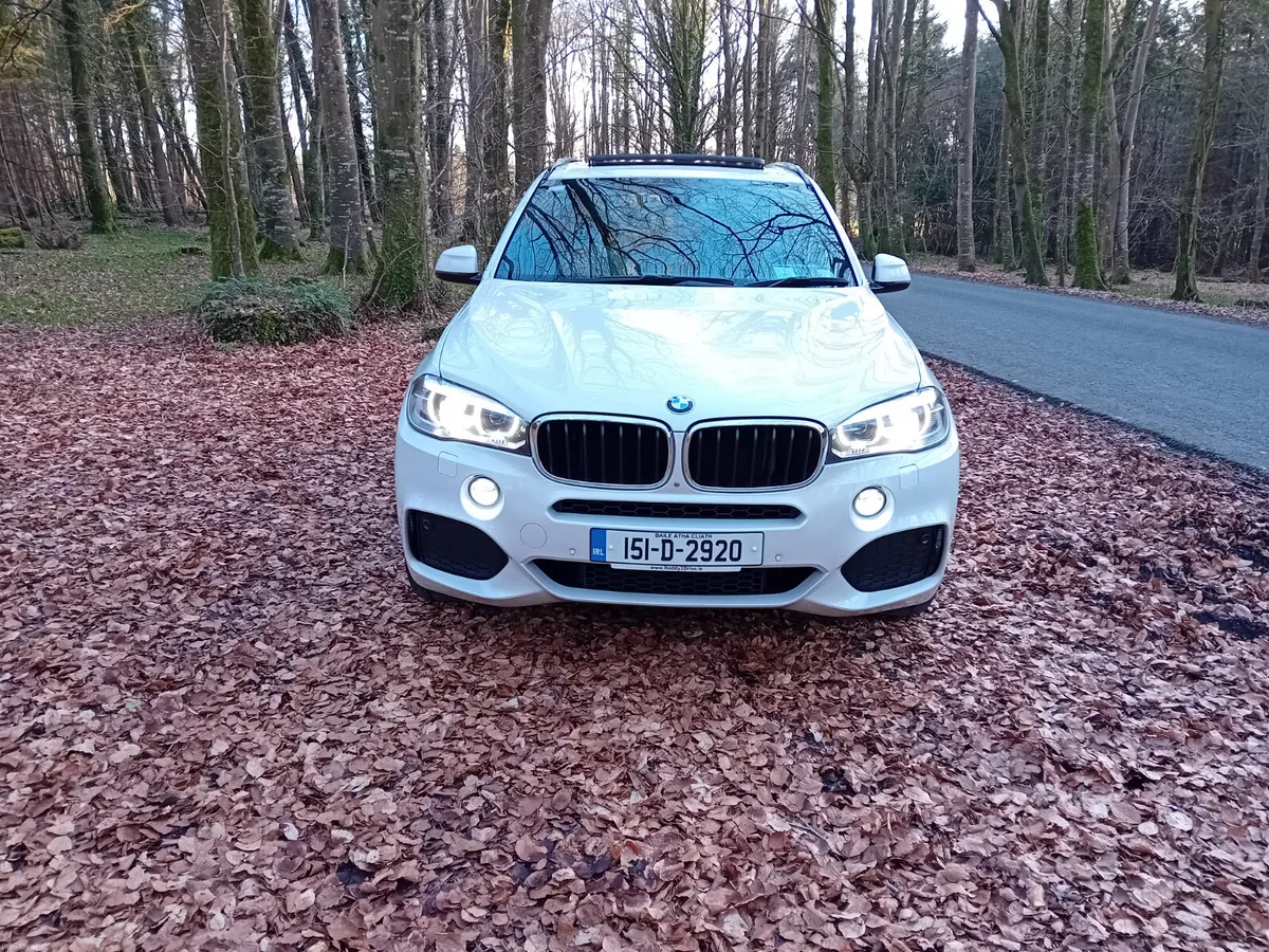 151 BMW X5, 3.0D M-SPORT AUTO 4X4 7 SEATER - Image 2