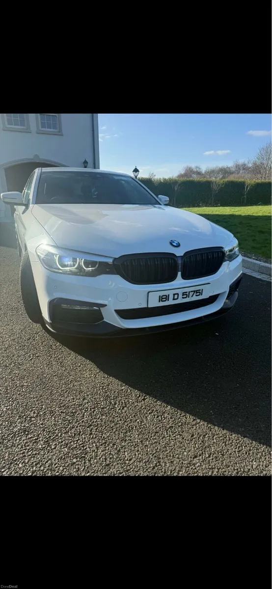 BMW 530D - Image 2