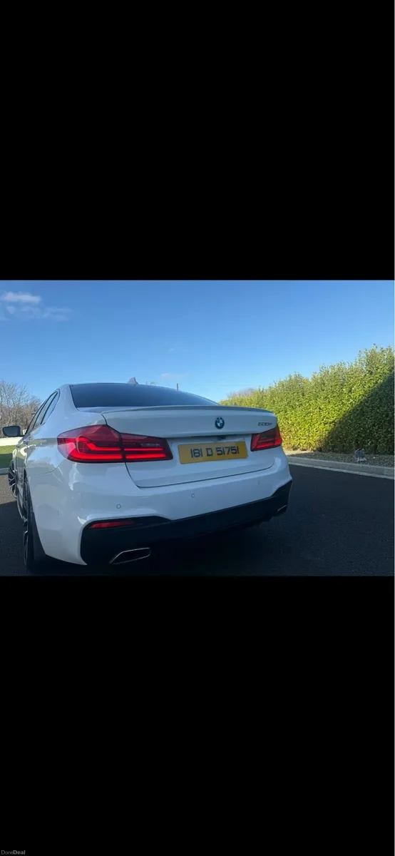 BMW 530D - Image 4