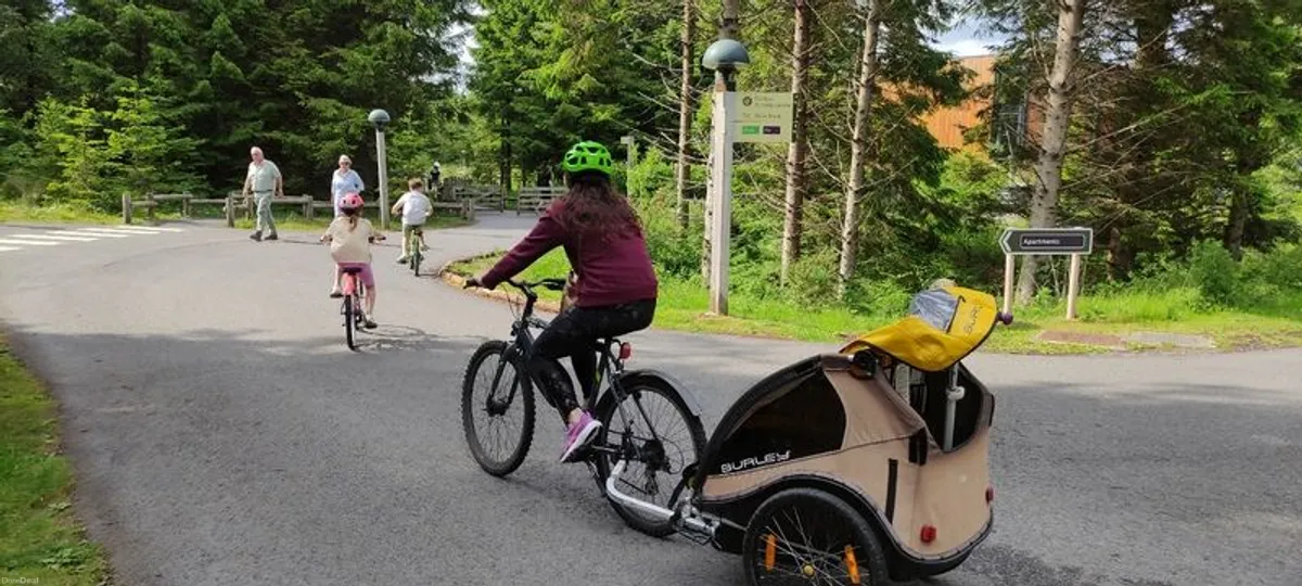 2017 Toyota Rav4 - Image 2