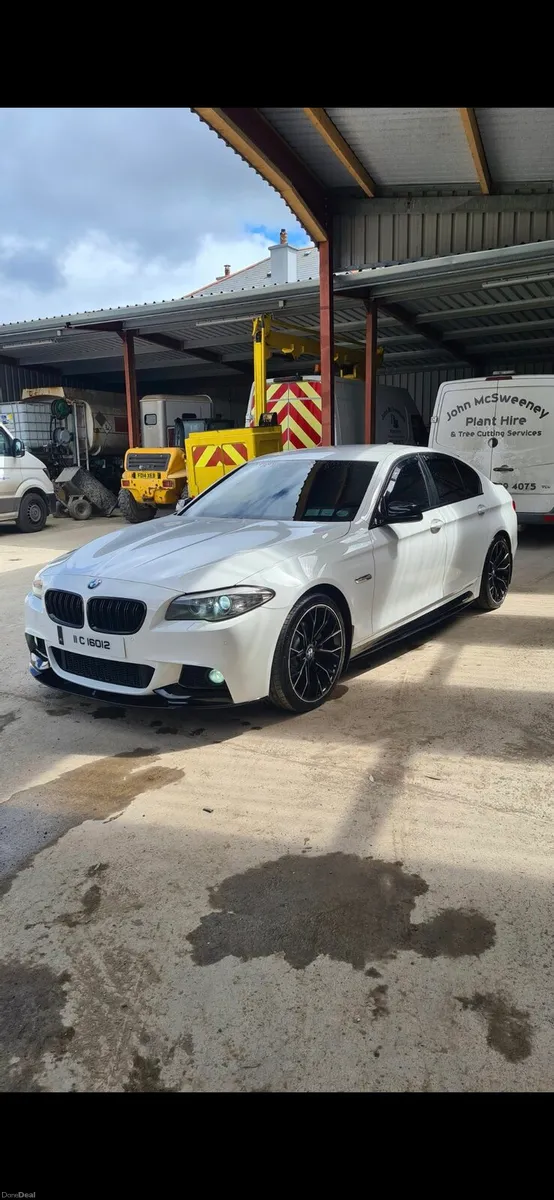 Bmw F10 520d - Image 1