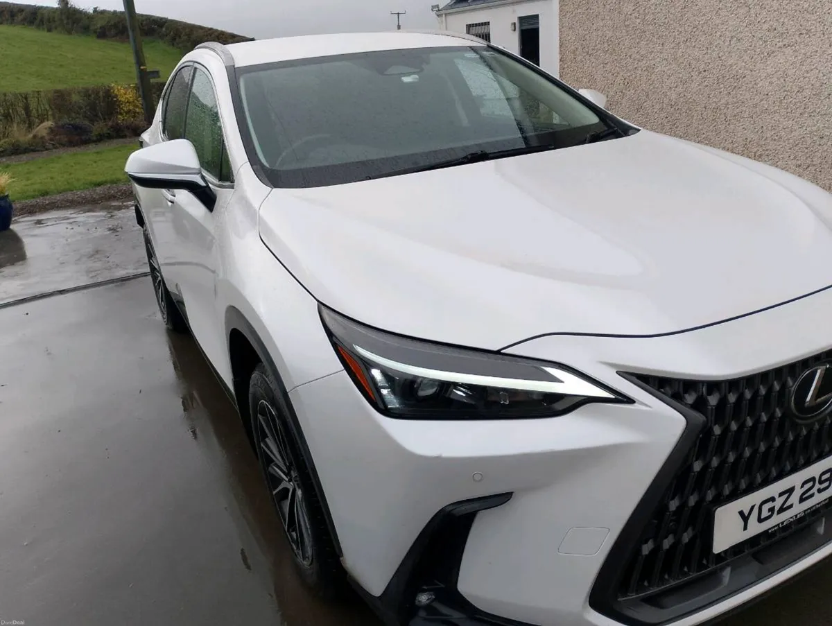 Lexus NX350 H  Premium AWD - Image 4